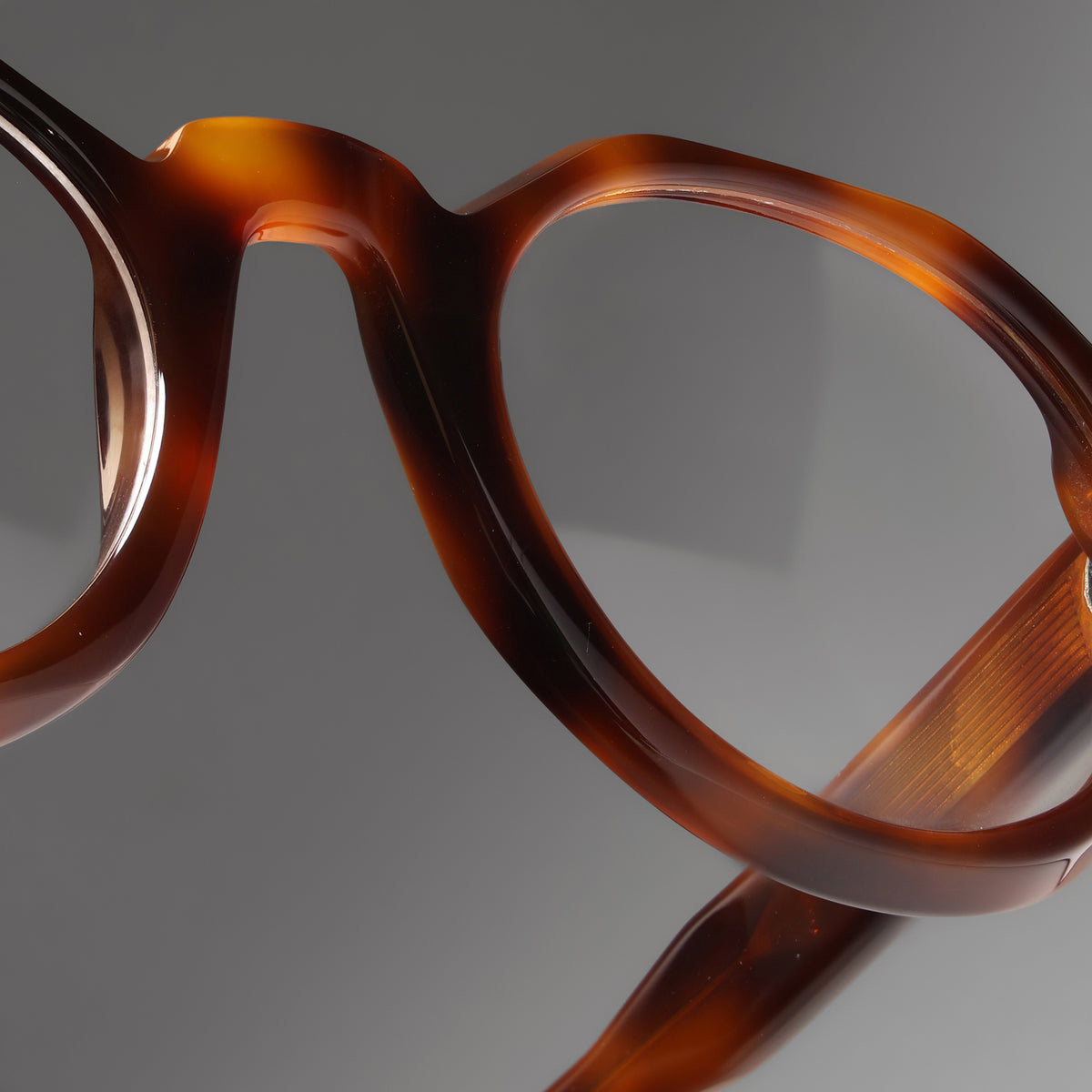 Paradise Tortoise close-up 1