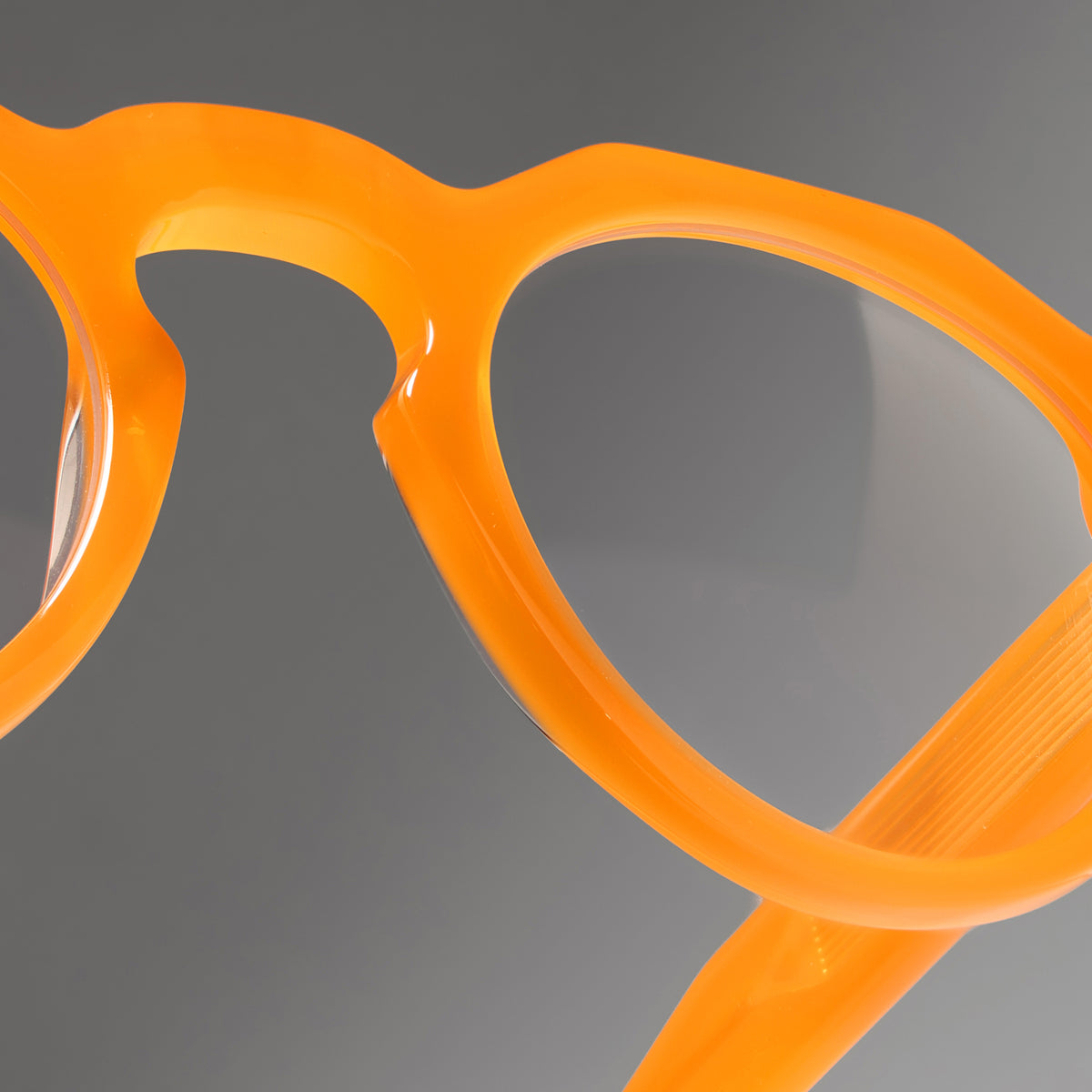 Panto Honey close-up 1