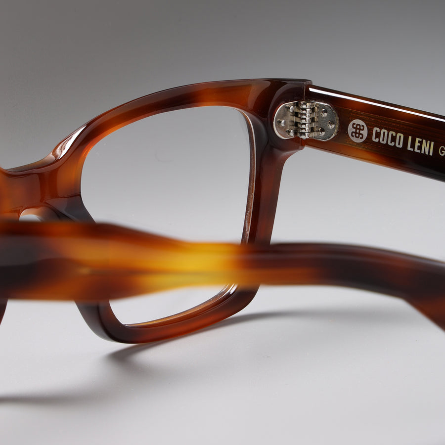 Grand Tortoise close-up 2