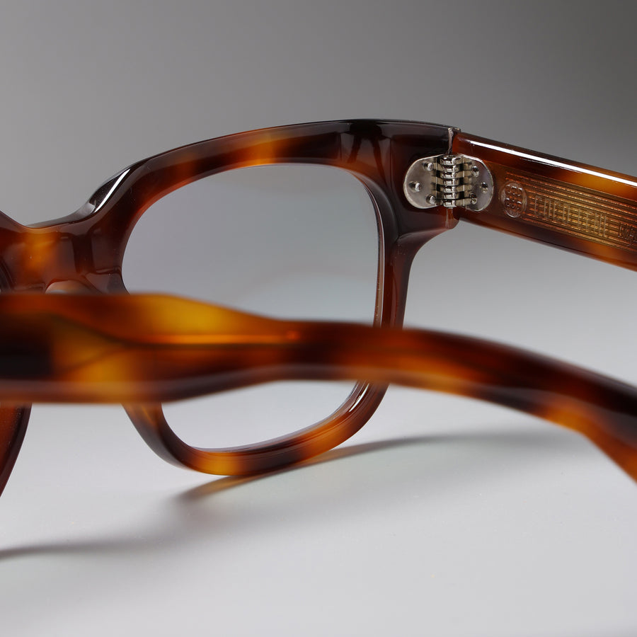 Marken Tortoise close-up 2