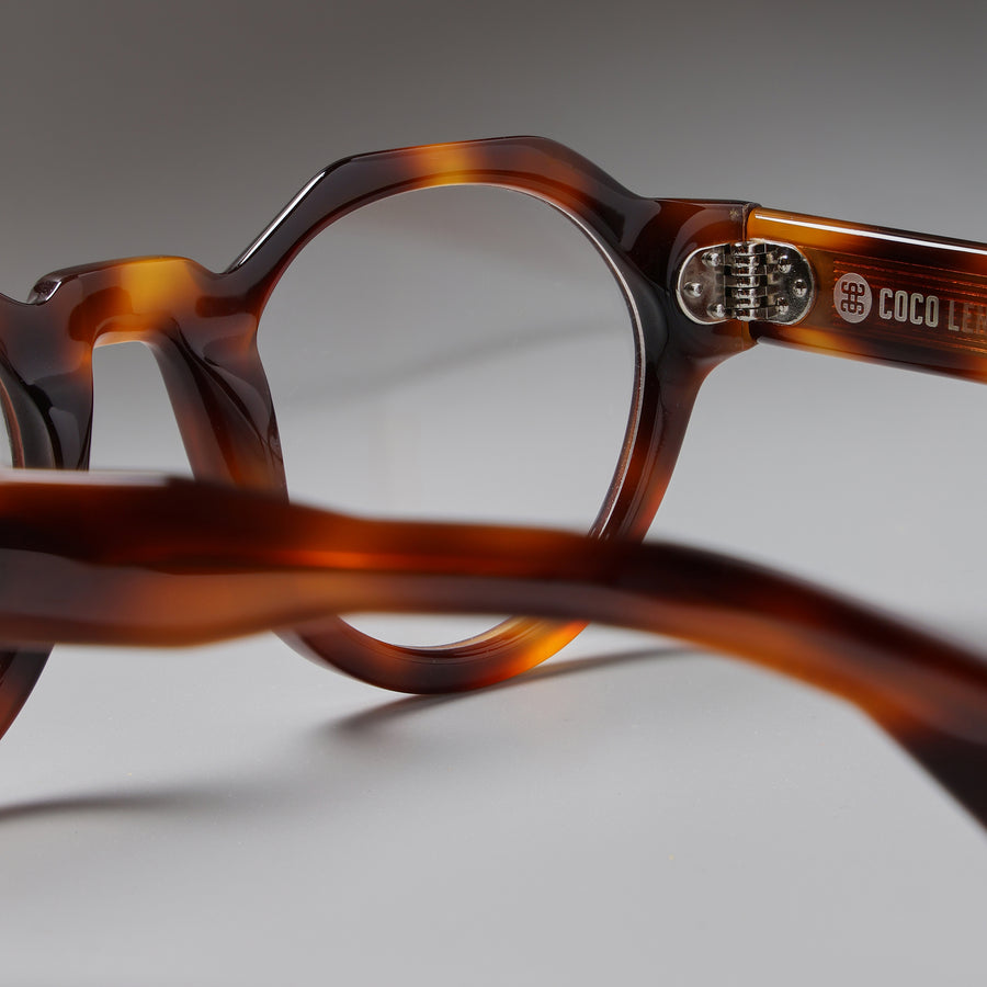 Paradise Tortoise close-up 2