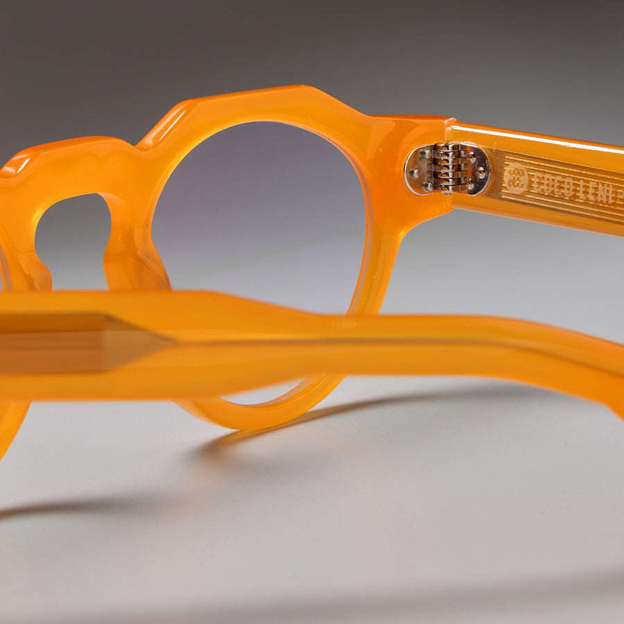 Panto Honey close-up 2