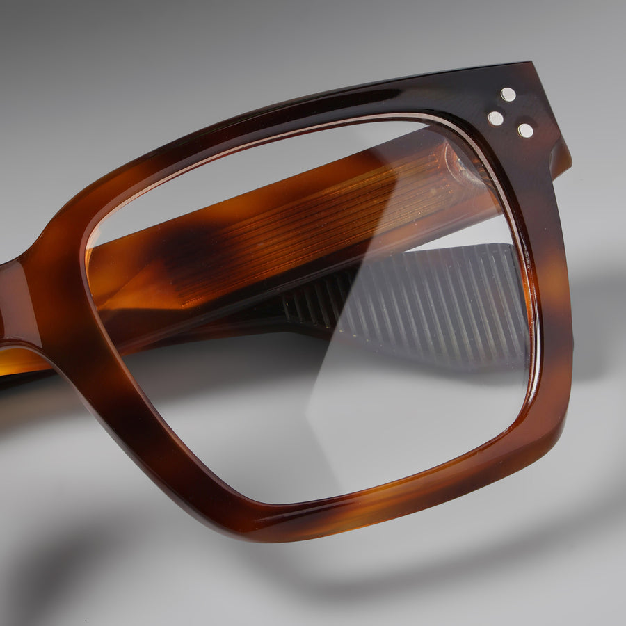 Grand Tortoise close-up 3