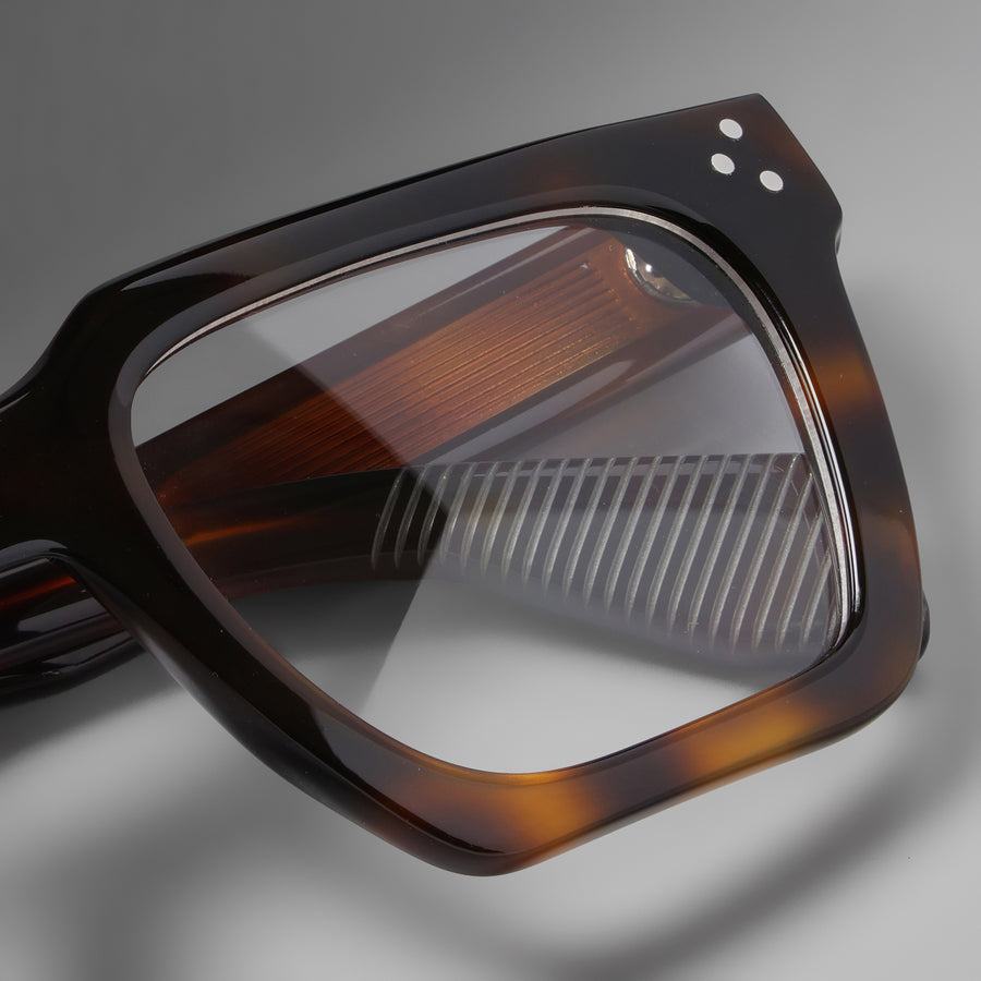 Starke Tortoise close-up 3