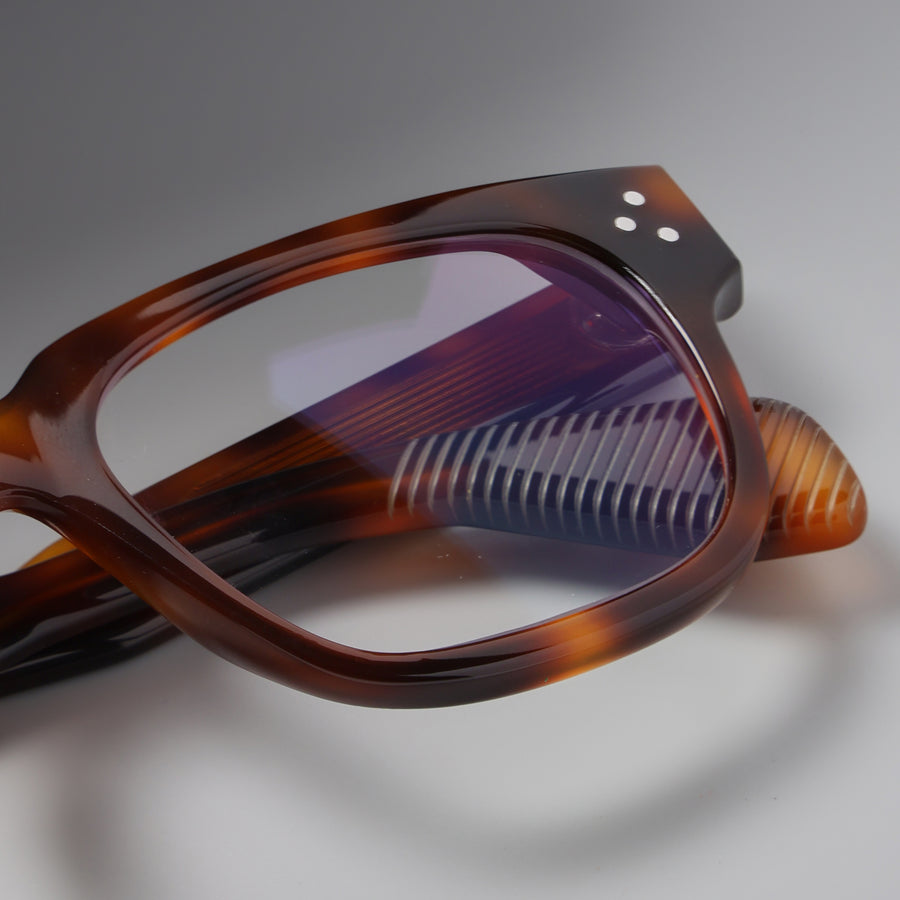 Marken Tortoise close-up 3