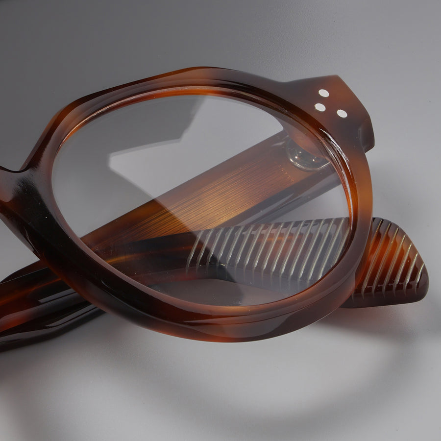 Paradise Tortoise close-up 3