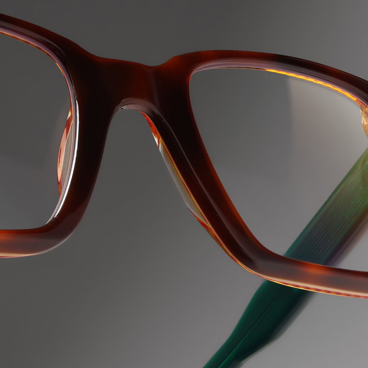 Grand Tortoise Lam close-up 1