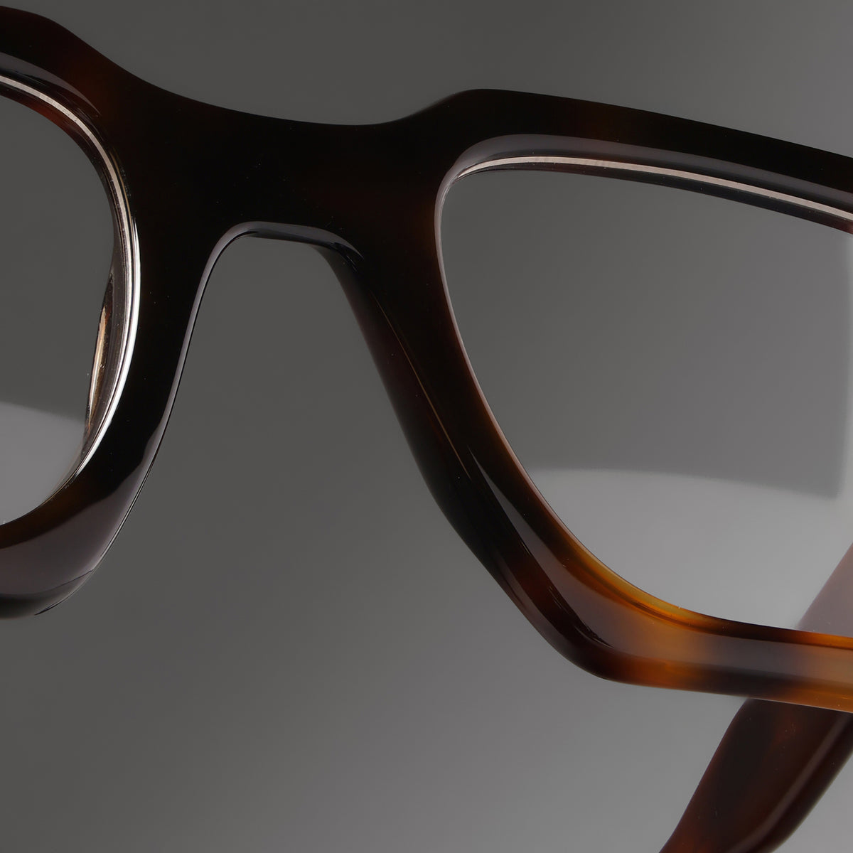 Starke Tortoise close-up 1