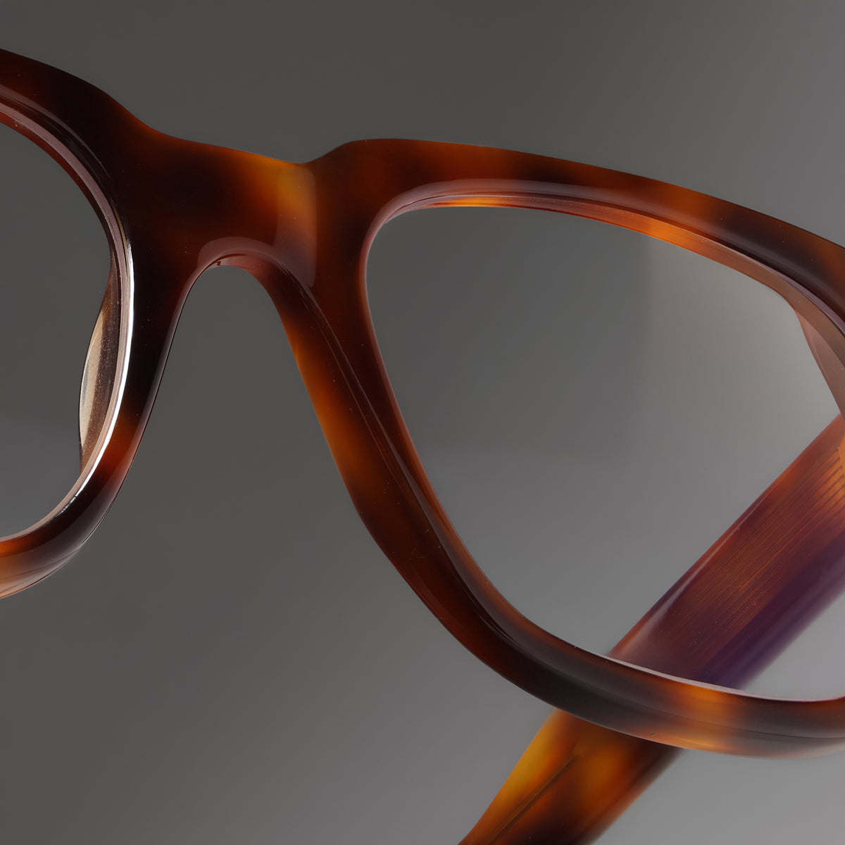 Marken Tortoise close-up 1