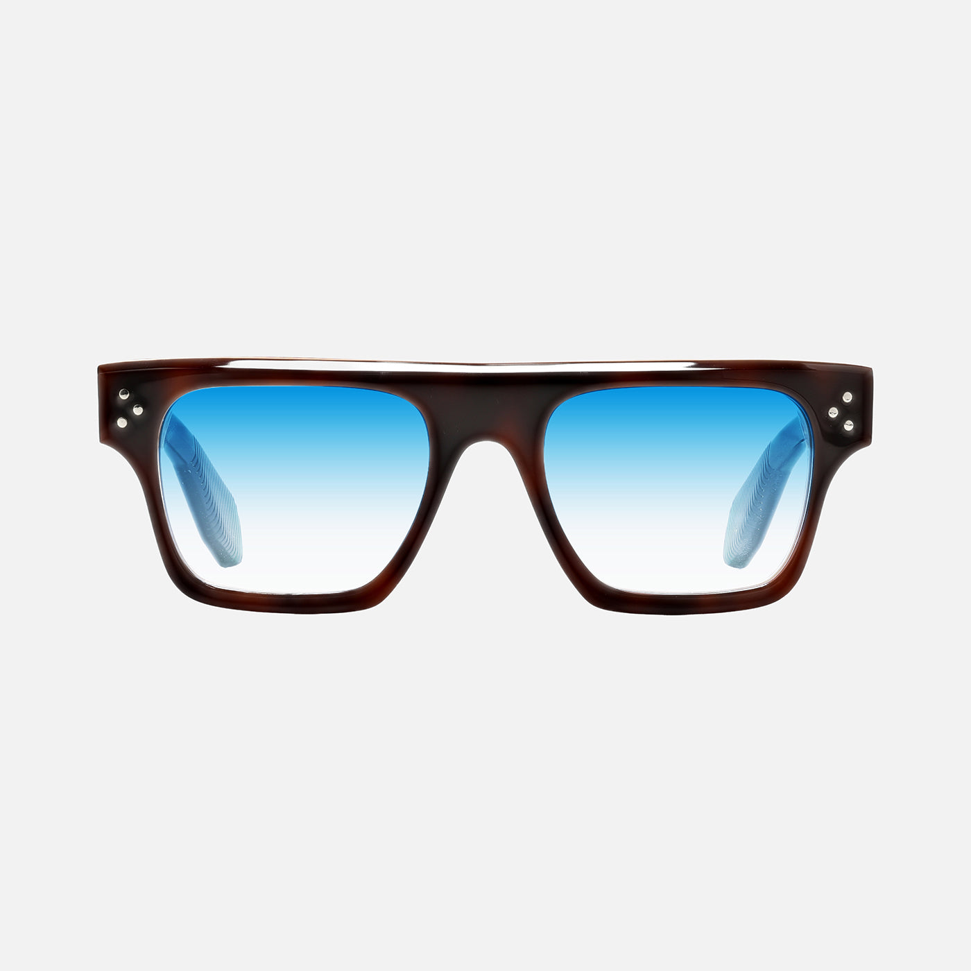 Suri Tortoise Carnival