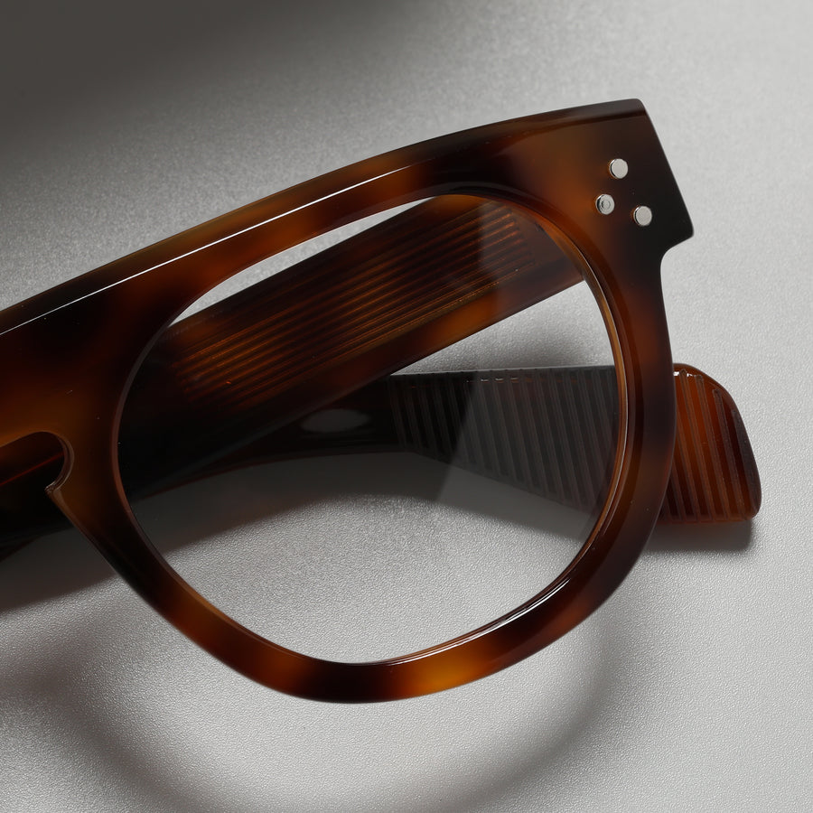 Glockner Tortoise close-up 3