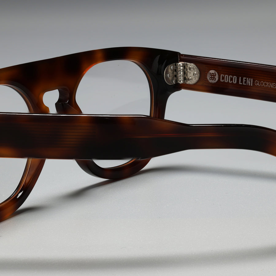 Glockner Tortoise close-up 2