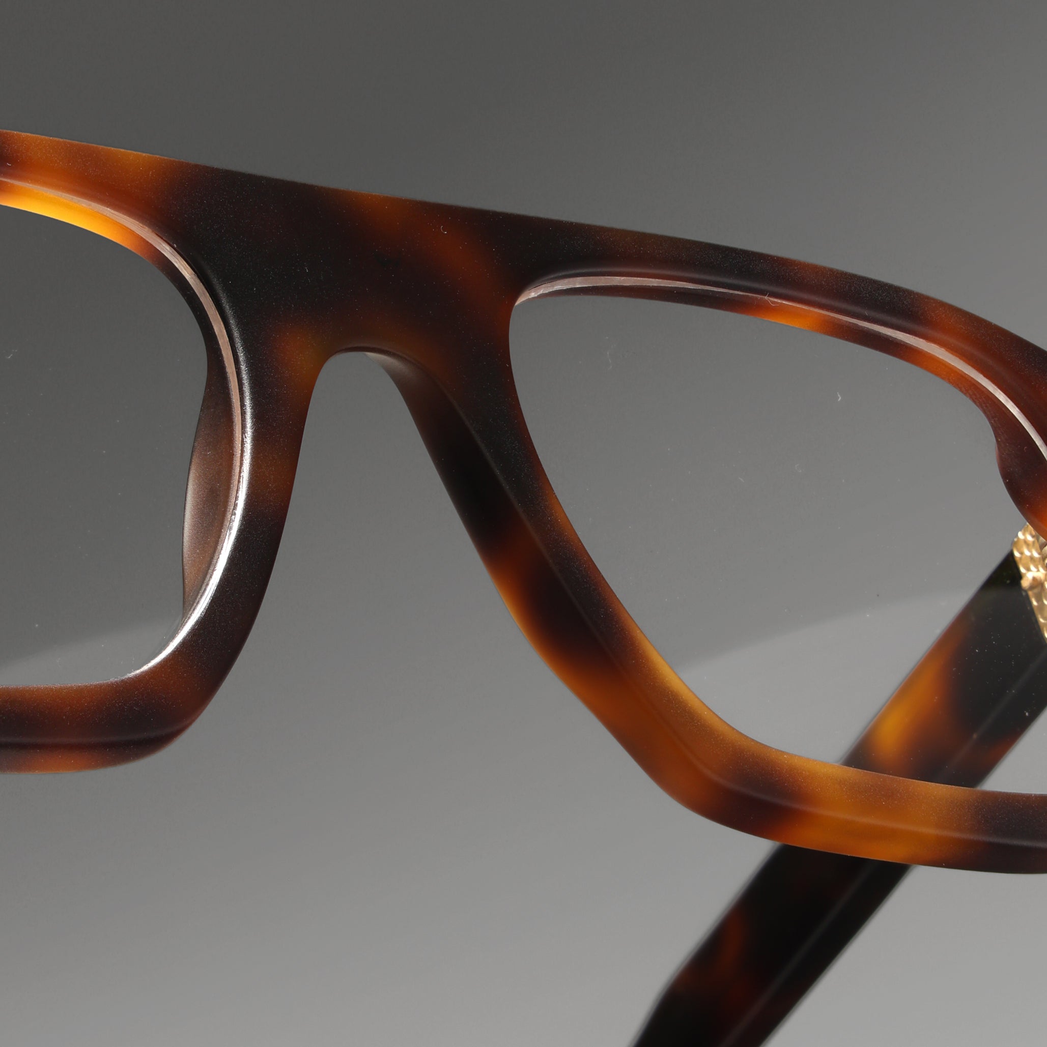 Suri Tortoise Structura