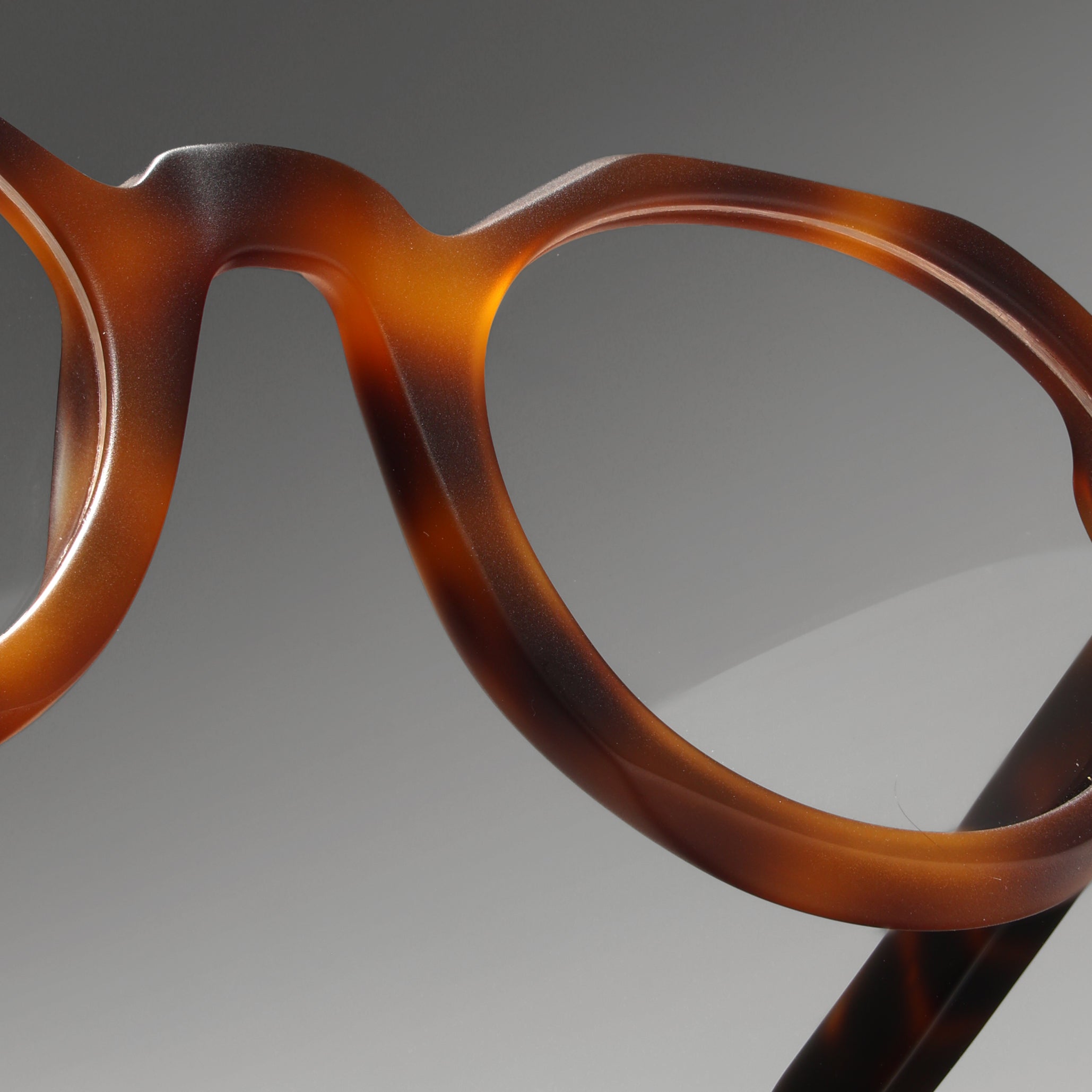 Paradise Tortoise Structura