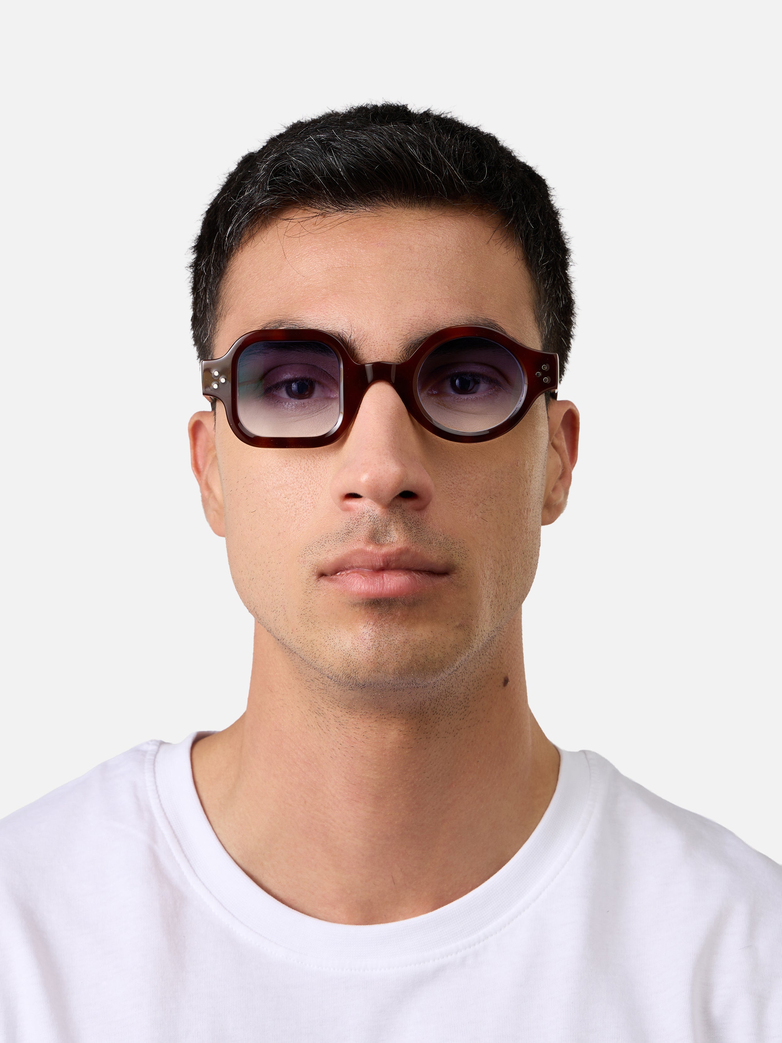 Admont Tortoise Carnival